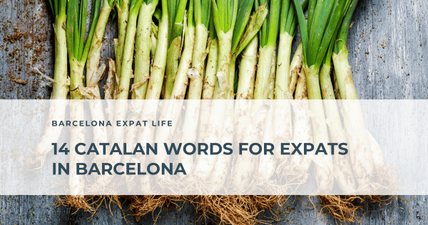 14 Catalan words for expats in Barcelona