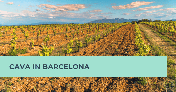 Cava in Barcelona