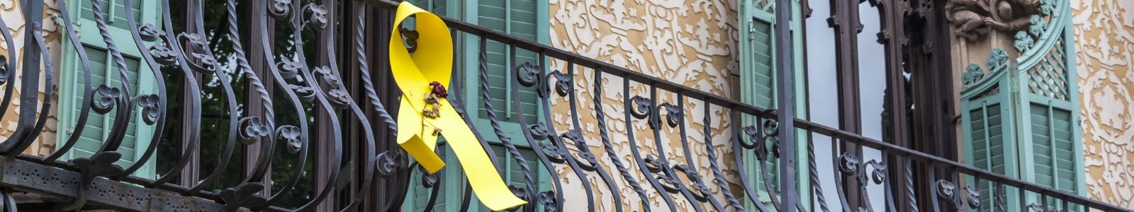 The Independence Movement in Catalonia