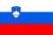 Slovenian_flag_Barcelona