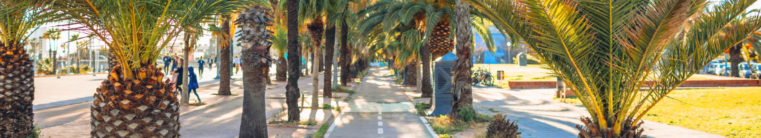 Cycling in Barcelona