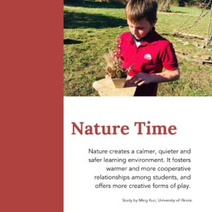 International School